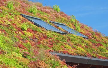 Queenborough living roof systems